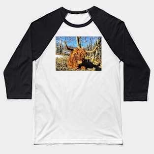 Scottish Highland Cattle Cow 2320 Baseball T-Shirt